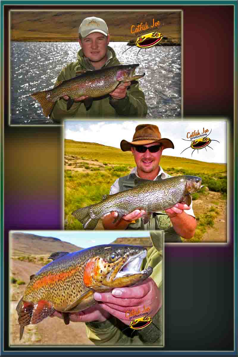 Fly Fishing for Trout in South Africa & Lesotho Amazing and scenic
